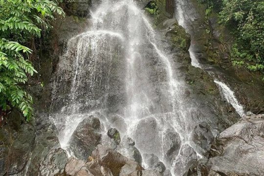 Hawaii's Forest Walking Tour with Waterfall and Swimming Pool