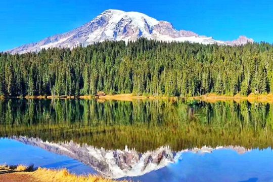 BEST Mount Rainier National Park Day Tour from Seattle