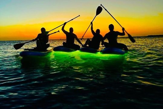 SUNSET GLOW TOUR PaddleBoard
