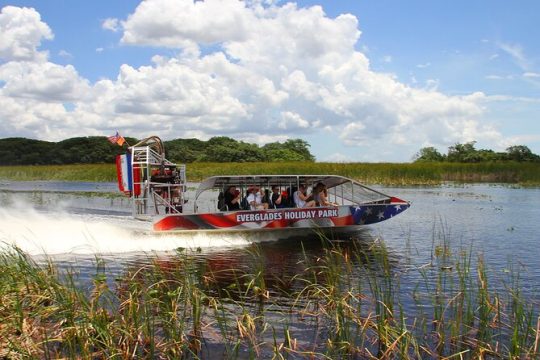 Miami Panoramic Open-Top City Tour, Everglades, and Sightseeing Cruise