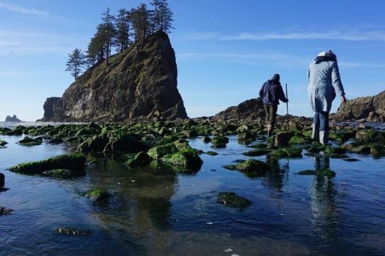 Experience the Spectacular Beauty of the Olympic Peninsula