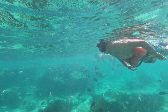 Isla Mujeres MUSA Snorkeling Experience