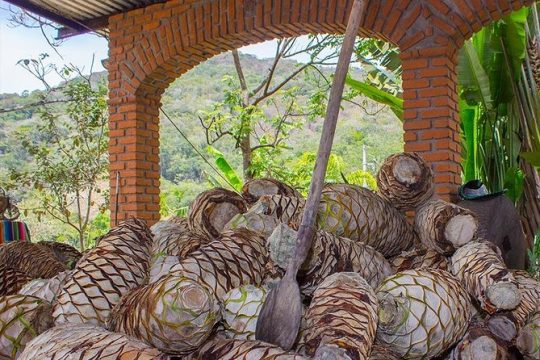 City and Tequila Tour in Puerto Vallarta