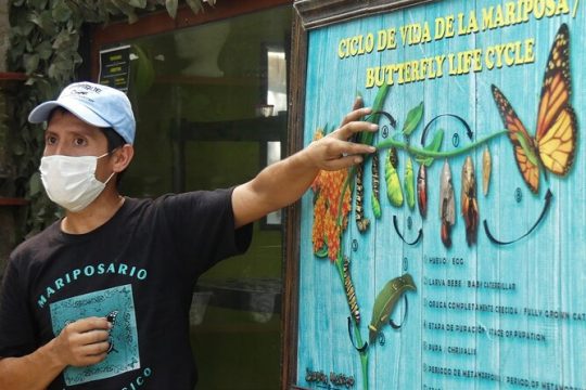 Butterfly Sanctuary Guided Tour in Puerto Vallarta