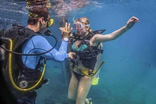 Discover Scuba experience at Las Caletas, Puerto Vallarta