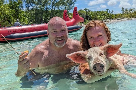 Private Swim With Pigs and Snorkeling in Paradise Tour