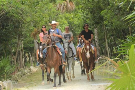 Horse Riding Activity in Miami