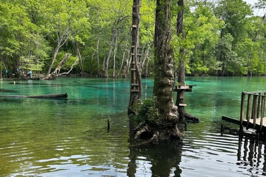 VIP ECO adventure to Cypress Springs by Paddle Board or Kayak