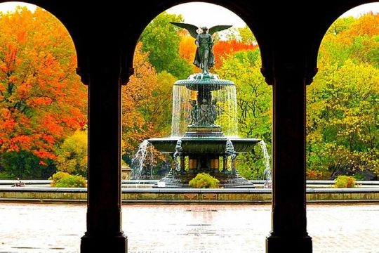 Central Park Experience: A Scenic & Historical Walking Tour