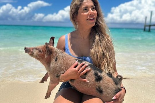 Nassau, Rose Island Private Swimming Pigs Tour
