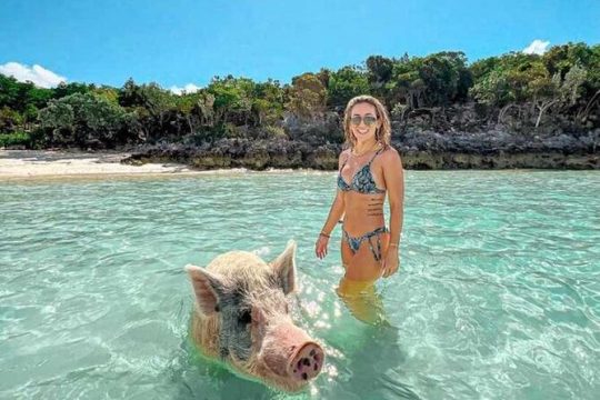 Swim with Pigs & Snorkeling with Turtles Cay Hopping in Bahamas