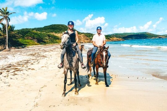 Private Caribbean Beach Picnic Horseback Ride in St Lucia