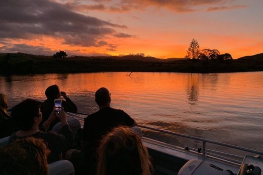 Daintree River 'Sunset' Cruise with the Daintree Boatman