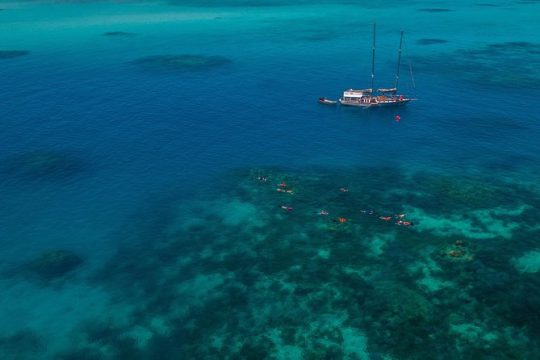 Ocean Free Green Island & Great Barrier Reef Snorkel Cruise, Cairns 25 guests
