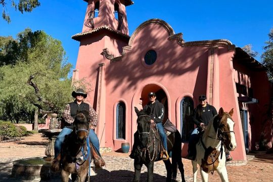 Guided 2 Hour Horseback Ride Catalina State Park Coronado Forest