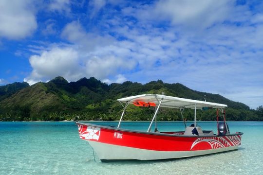 Boat tour 1/2 day Excursion in the lagoon of Moorea