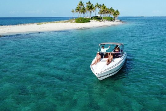 Half day Exotic private charter Rose Island, Pigs and Turtles