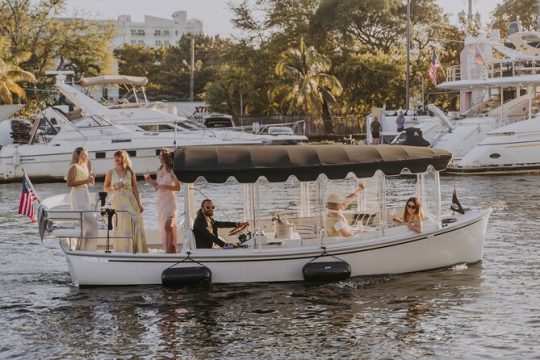Luxury Shared E-Boat Cruise with Wine and Charcuterie Board