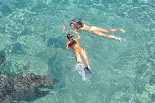 Islamorada: Snorkel adventure & Sandbar Trip From Cheeca Resort