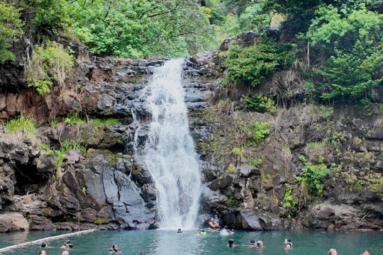 Best of North Oahu Tour in Waimea Valley