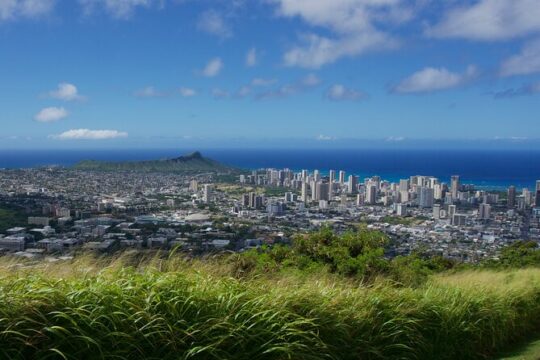 Private East Oahu Tour Featuring Manoa Falls Hike and Lookouts