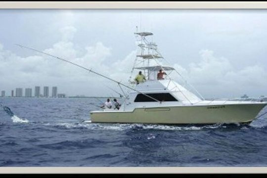 Deep Sea Fishing Activity in Miami Hollywood and Fort Lauderdale