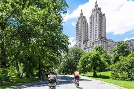 3 Hour Best of Manhattan Walking Tour and Cycle Central Park