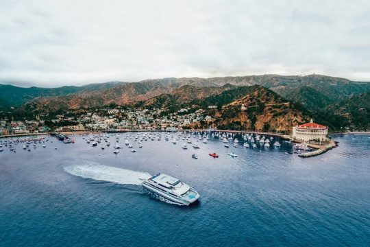 Catalina Express: Avalon to San Pedro One-Way Ferry