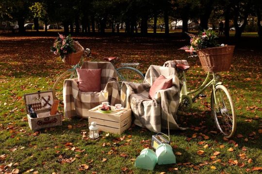 Champagne Picnic Hamper for 2 with Retro Bicycles Manchester