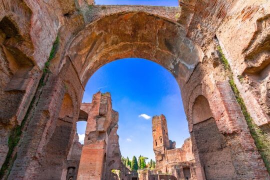Baths of Caracalla Private Guided Tour with PhD Archaeologist