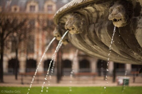 Le Marais Private Walking Tour