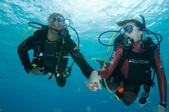 2 Dive Package for PADI Qualified Divers in Gran Canaria