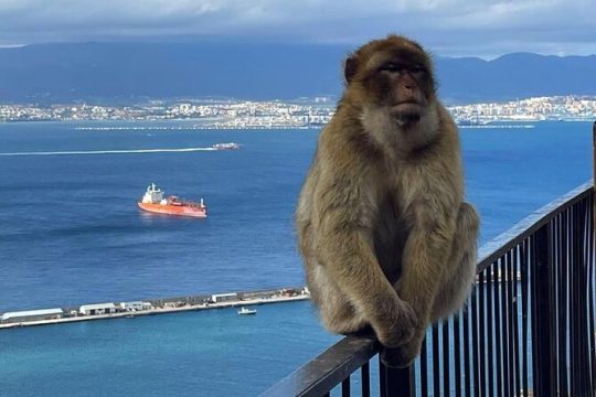 Gibraltar Private Daytrip From Sevilla