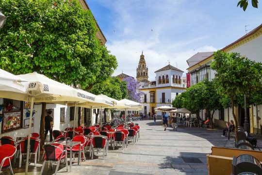 Touristic highlights of Cordoba on a Private half day tour with a local