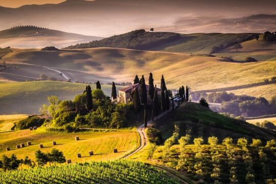 Wine Tasting in Tuscany: full-day private tour from Rome