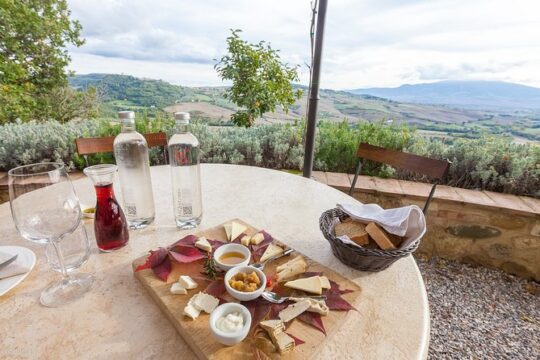 Montalcino and Pienza Tuscany Wine&Cheese Fullday from Rome