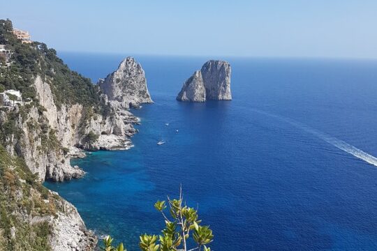 Capri Full-Day Tour from Rome with Private Island Boat Tour