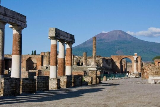 Pompeii Ruins & Naples Private Tour with Lunch and Wine Tasting from Rome