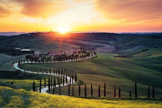 Tuscany Countryside including Wine Tasting & Lunch - Private Day Trip from Rome