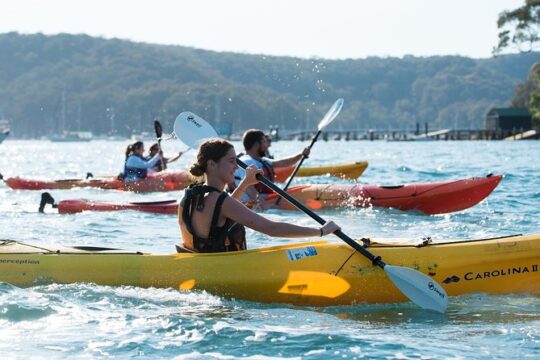 Pittwater Discovery Kayaking Tour
