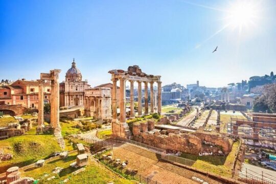 Colosseum 1 hour guided tour + ticket Roman Forum