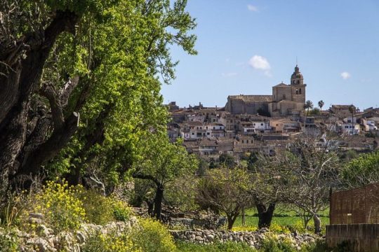 Private Tour: Mallorca Inland Villages and hidden marvels