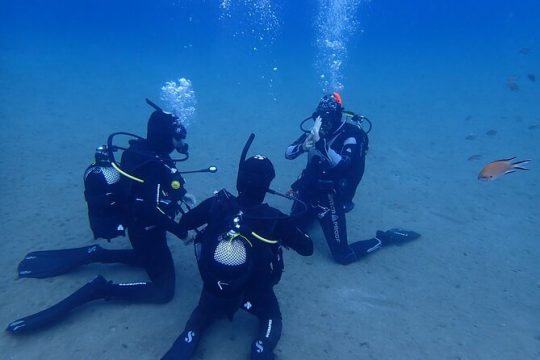 Open Water Diver Course in Lanzarote
