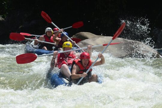 Tully River White Water Rafting Half day- Self Drive