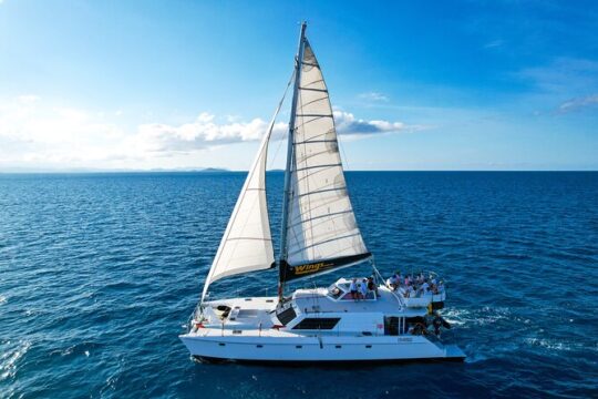 Premium Whitsunday Islands Sail, SUP & Snorkel Half Day Tour