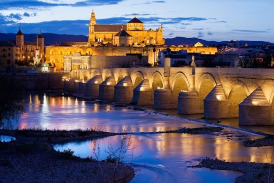 Cordoba : Private Custom Walking Tour With A Local Guide
