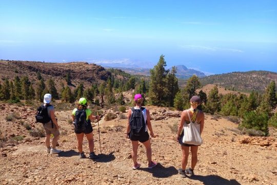Hiking in Tenerife's Great Outdoors