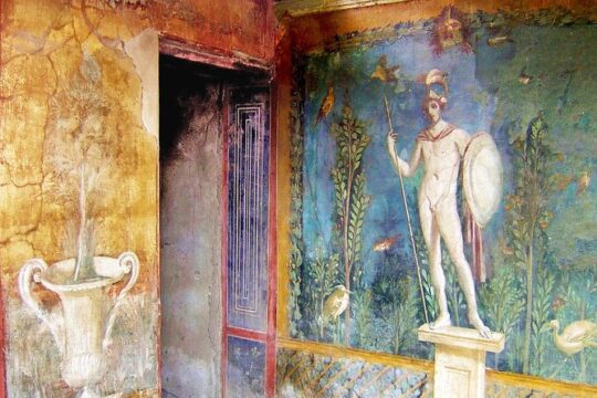 Herculaneum and Pompeii Private Tour: Day Trip from Rome by Car
