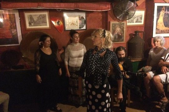 Flamenco and Tapastour with a flamenco artist