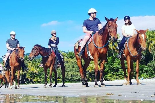 Mid-Morning Beach Horse Ride in Cape Tribulation